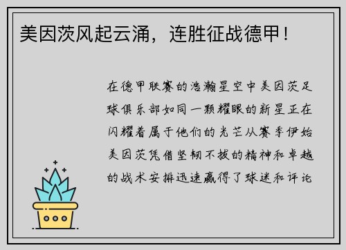 美因茨风起云涌，连胜征战德甲！