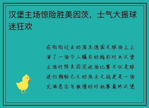 汉堡主场惊险胜美因茨，士气大振球迷狂欢