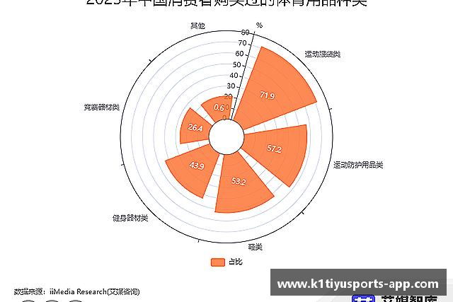 了解K1体育